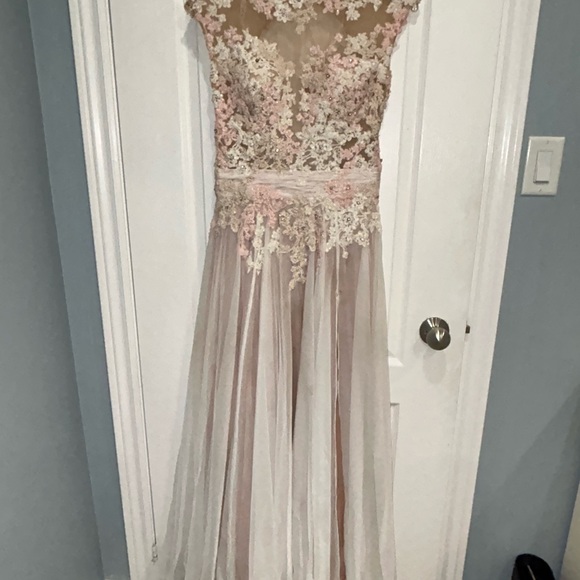 Elegant Pink and White Lace Gown - Picture 4 of 11